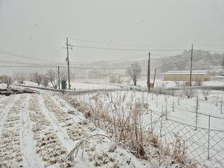 전홍열님의 작성글 사진