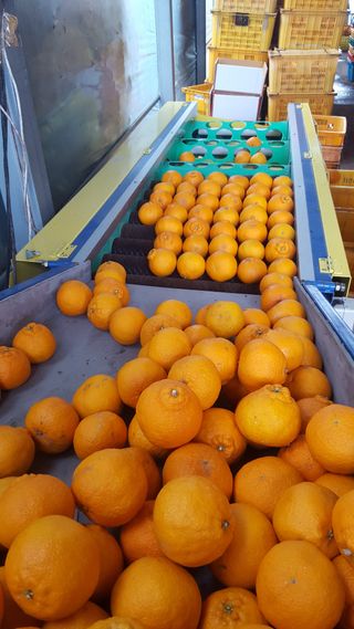 송응준님의 작성글 사진