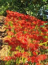 팜모닝 · 게시글 이미지