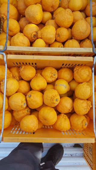 송응준님의 작성글 사진