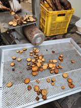 팜모닝 자유주제·자유게시판 게시글 이미지