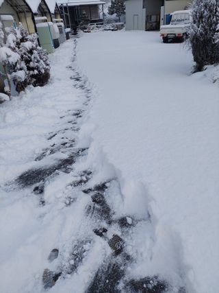 재연농장님의 자유주제 · 자유게시판 작성글 사진