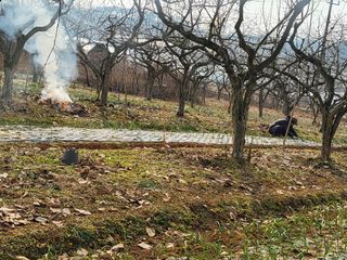 자두20651님의 자유주제 · 자유게시판 작성글 사진