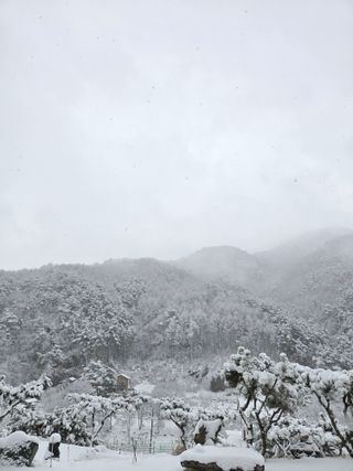 강원사랑인님의 자유주제 · 자유게시판 작성글 사진