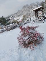 팜모닝 자유주제·자유게시판 게시글 이미지