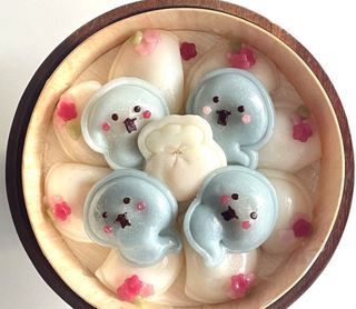 백호맘님의 자유주제 · 자유게시판 작성글 사진