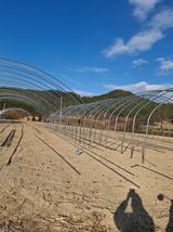 팜모닝 나만의 건강관리 비결·참여글 게시글 이미지