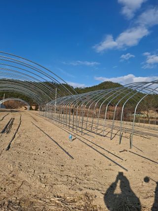 김종환님의 나만의 건강관리 비결 · 참여글 작성글 사진