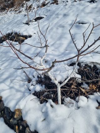 김용대님의 자유주제 · 자유게시판 작성글 사진
