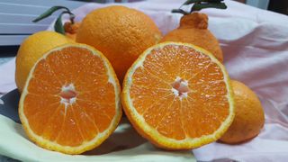 송응준님의 작성글 사진