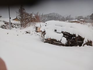 알 수 없음님의 자유주제 · 자유게시판 작성글 사진