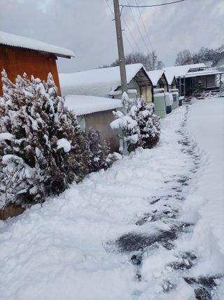 재연농장님의 자유주제 · 자유게시판 작성글 사진