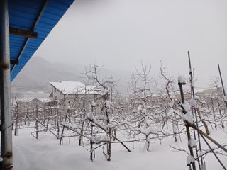 알 수 없음님의 자유주제 · 자유게시판 작성글 사진