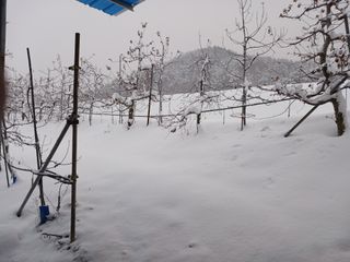 알 수 없음님의 자유주제 · 자유게시판 작성글 사진