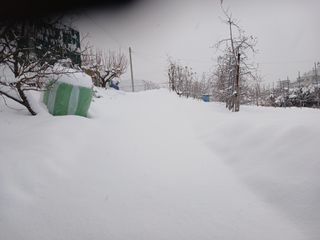 알 수 없음님의 자유주제 · 자유게시판 작성글 사진