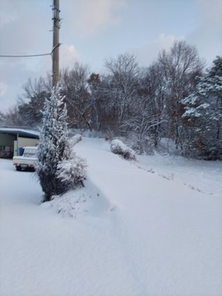 재연농장님의 자유주제 · 자유게시판 작성글 사진