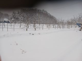 알 수 없음님의 자유주제 · 자유게시판 작성글 사진