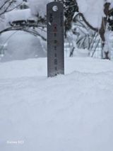 팜모닝 자유주제·자유게시판 게시글 이미지