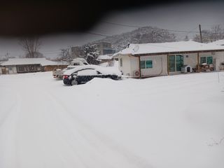 알 수 없음님의 자유주제 · 자유게시판 작성글 사진