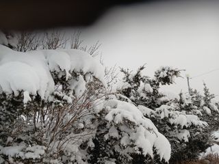 알 수 없음님의 자유주제 · 자유게시판 작성글 사진