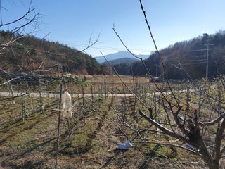 전홍열님의 작성글 사진