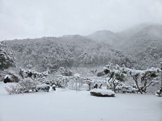 강원사랑인님의 자유주제 · 자유게시판 작성글 사진