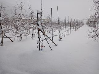 알 수 없음님의 자유주제 · 자유게시판 작성글 사진