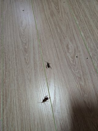 강원사랑인님의 자유주제 · 자유게시판 작성글 사진