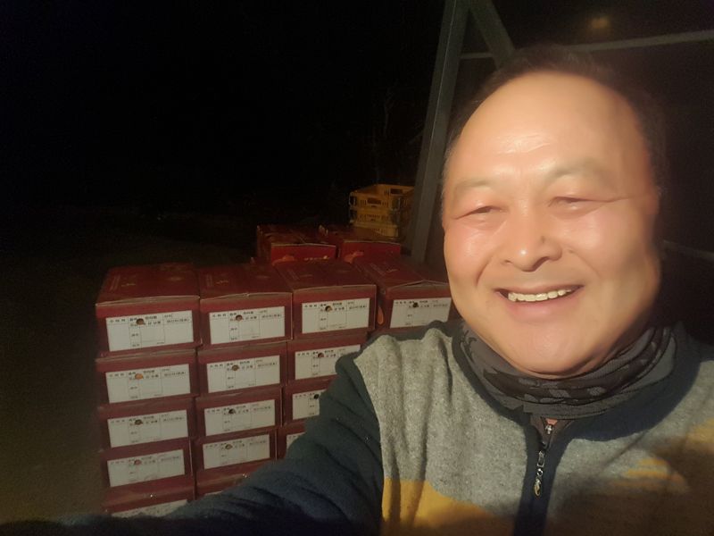 송응준님의 장터 판매 상품 [한라봉 ] 첨부 사진