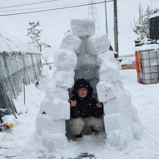 윤재하님의 자유주제 · 자유게시판 작성글 사진