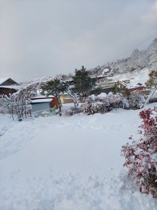 재연농장님의 자유주제 · 자유게시판 작성글 사진