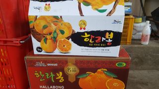 송응준님의 작성글 사진