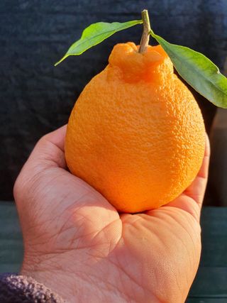 송응준님의 작성글 사진