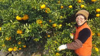 송응준님의 작성글 사진