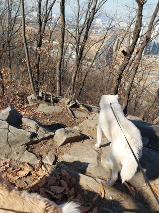백호맘님의 나만의 건강관리 비결 · 참여글 작성글 사진