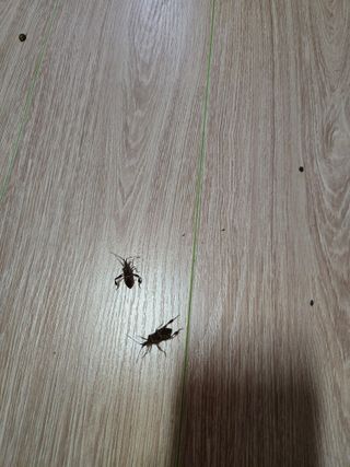 강원사랑인님의 자유주제 · 자유게시판 작성글 사진