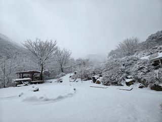 강원사랑인님의 자유주제 · 자유게시판 작성글 사진