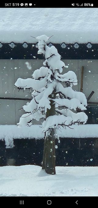 김영복님의 자유주제 · 자유게시판 작성글 사진
