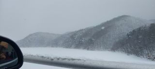 낙엽교목류15665님의 설날 계획 공유해요 · 참여글 작성글 사진