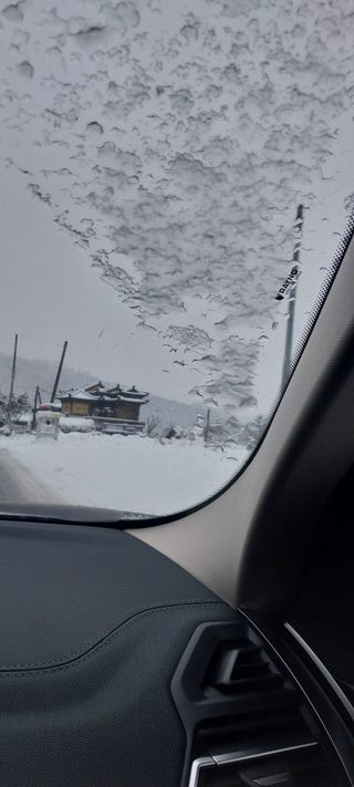 낙엽교목류15665님의 설날 계획 공유해요 · 참여글 작성글 사진
