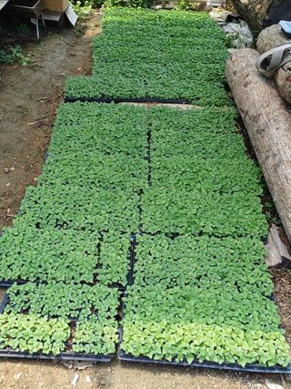 심 영훈님의 작성글 사진