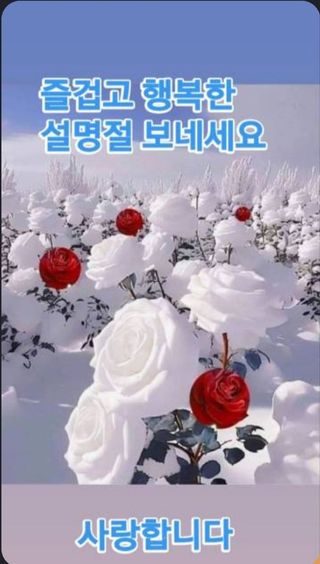 울금박사/빈덕열목사님의 자유주제 · 자유게시판 작성글 사진