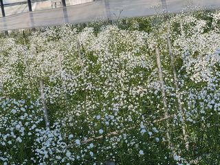 이성자님의 자유주제 · 자유게시판 작성글 사진