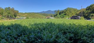 심 영훈님의 작성글 사진