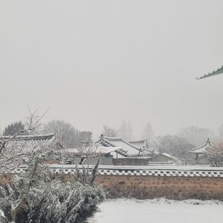 김영복님의 자유주제 · 자유게시판 작성글 사진