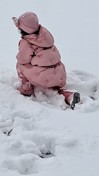 작은정원 박기석님의 자유주제 · 자유게시판 작성글 사진