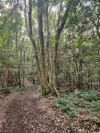 제주 지안이네농장님의 자유주제 · 자유게시판 작성글 사진