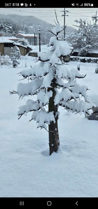 김영복님의 자유주제 · 자유게시판 작성글 사진