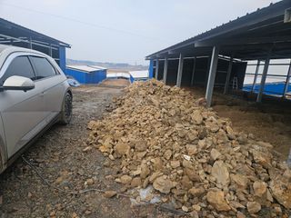 맥문동 천문동님의 자유주제 · 자유게시판 작성글 사진