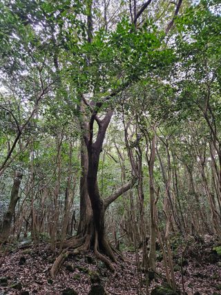 제주 지안이네농장님의 자유주제 · 자유게시판 작성글 사진